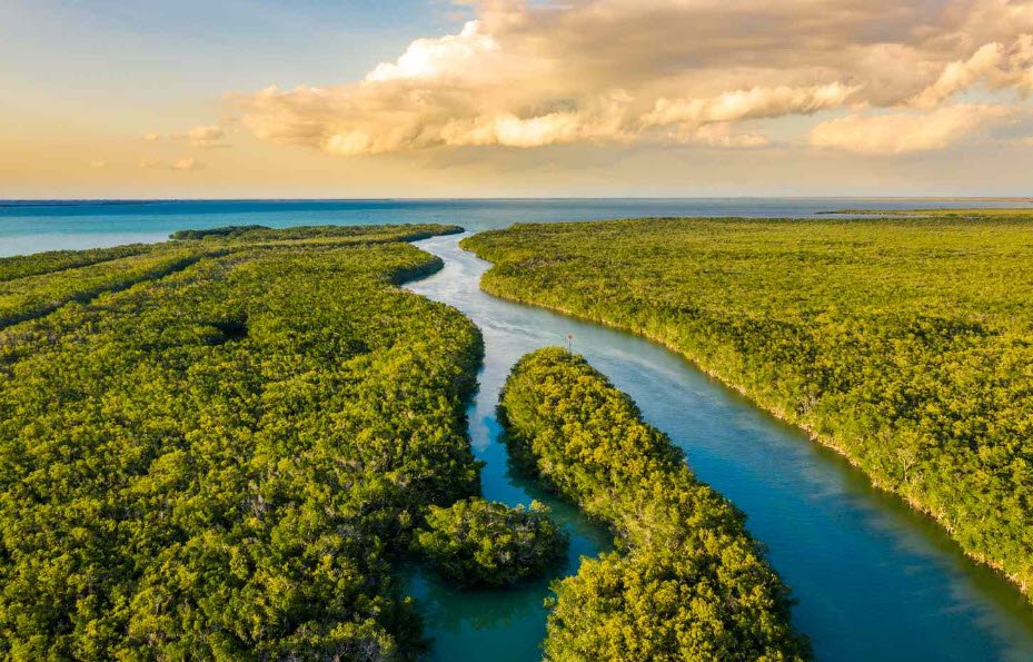 Everglades National Park